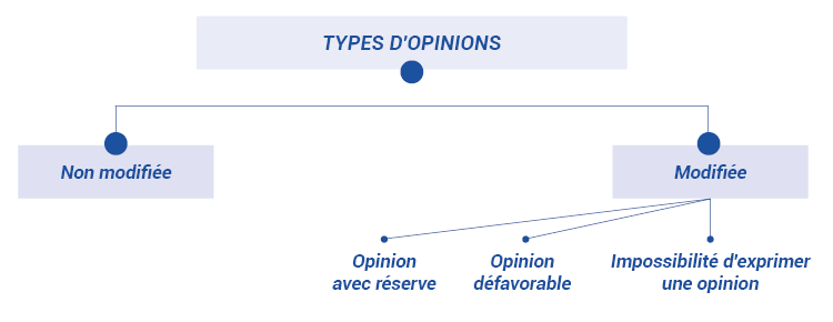 Schéma 4 : Processus de formulation d’une opinion